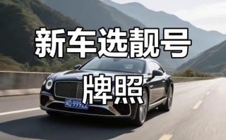 厦门靓号车牌价格波动，热门车型车牌行情