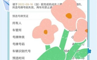 湖南车牌靓号代选商家，办车牌靓号怎么选择