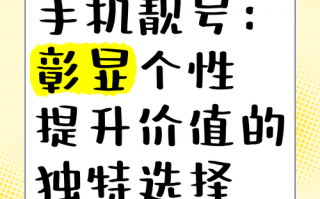 南阳手机靓号车牌选号，畅享个性化出行新体验