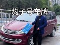 濮阳豹子车牌号多少钱一个，豹子车牌号多少钱能买