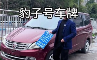濮阳豹子车牌号多少钱一个，豹子车牌号多少钱能买