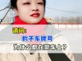 鞍山豹子车牌号多少钱一个，豹子车牌号多少钱能买