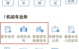 平顶山车牌靓号代选商家，办车牌靓号怎么选择