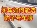 甘南豹子车牌号多少钱一个，豹子车牌号多少钱能买