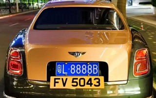 临沂豹子车牌号多少钱能买，买车牌号去哪里买