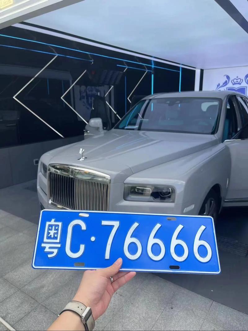 泗洪车牌照靓号：车牌中的珍品，车牌界的传奇-第1张图片-七号汽车选号