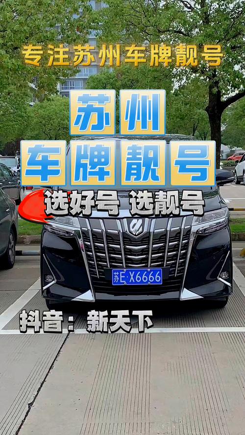 沈阳豹子车牌号多少钱一个，小车车牌靓号哪里有买-第1张图片-七号汽车选号
