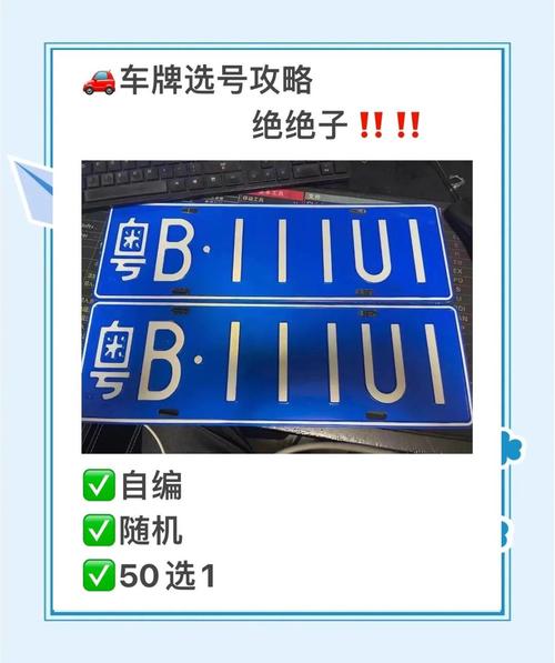 聊城车牌靓号代选黄牛，车牌靓号代选多少钱-第1张图片-七号汽车选号