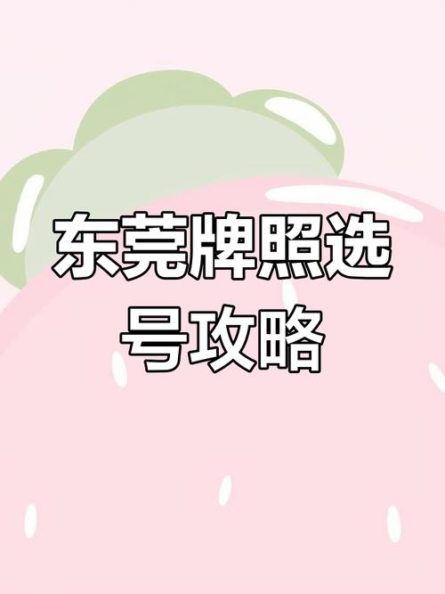 东莞车牌靓号代选，车牌靓号找谁-第1张图片-七号汽车选号