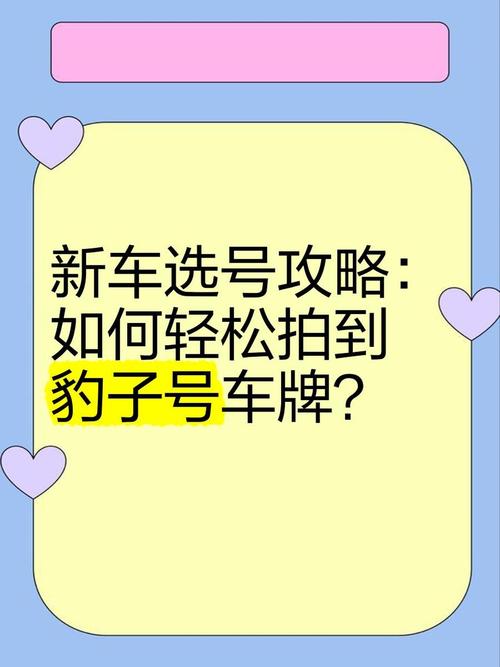 德州车牌豹子购买渠道，车牌号怎么买靓号-第1张图片-七号汽车选号
