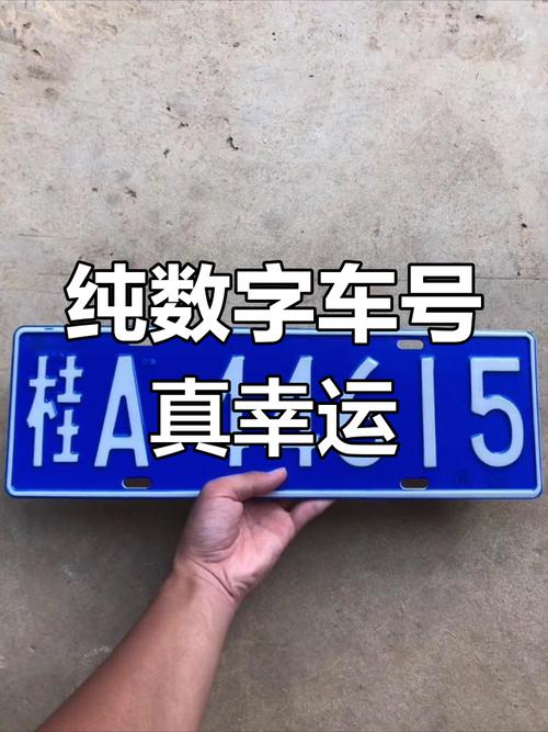 南宁顺号车牌号多少钱一个，车牌靓号在哪买-第1张图片-七号汽车选号
