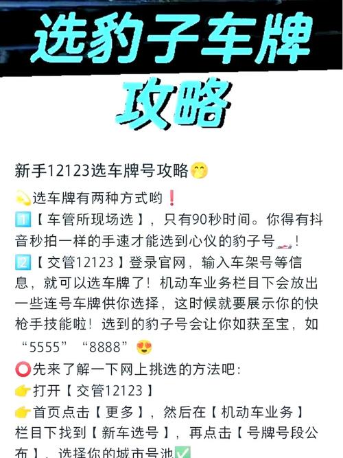 湛江车牌靓号代选商家，办车牌靓号怎么选择-第1张图片-七号汽车选号