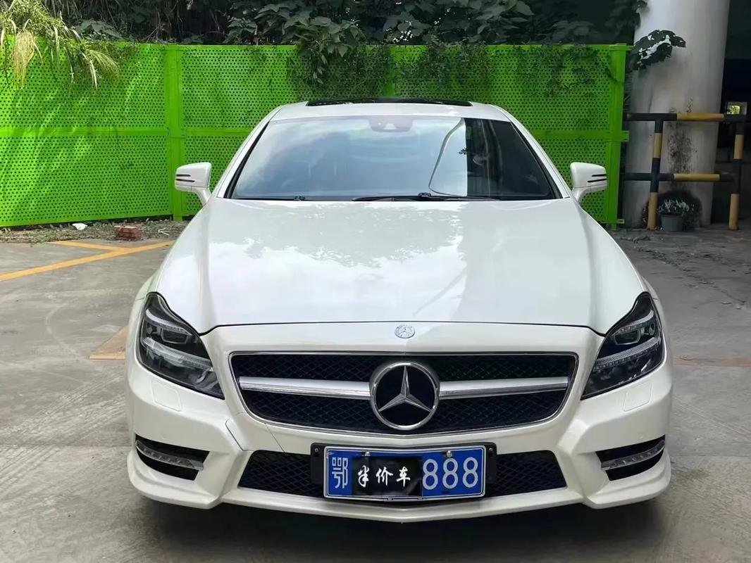 白银豹子车牌号多少钱一个，豹子车牌号多少钱能买-第1张图片-七号汽车选号