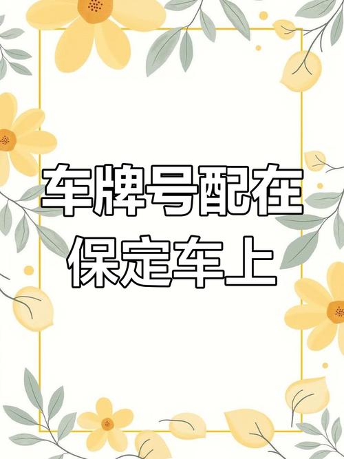 保定车牌靓号代选多少钱,车牌靓号购买-第1张图片-七号汽车选号 保定车牌靓号代选多少钱,车牌靓号购买-第1张图片-七号汽车选号