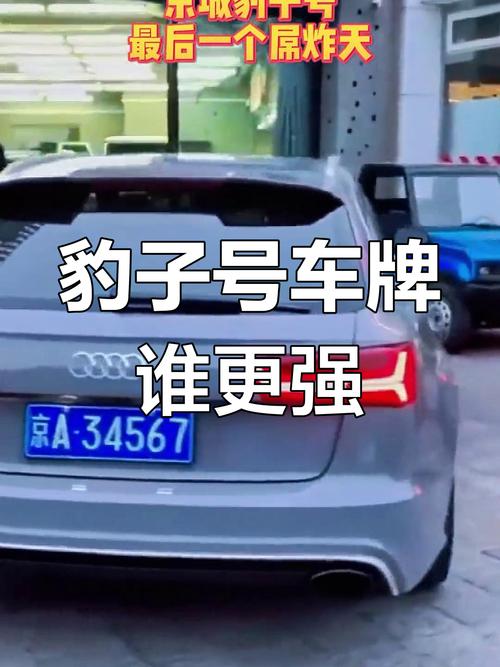 鹰潭车牌豹子购买渠道，顺号车牌号多少钱一个-第1张图片-七号汽车选号