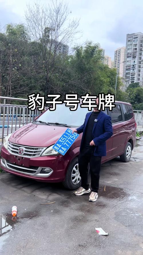 濮阳豹子车牌号多少钱一个，豹子车牌号多少钱能买-第1张图片-七号汽车选号