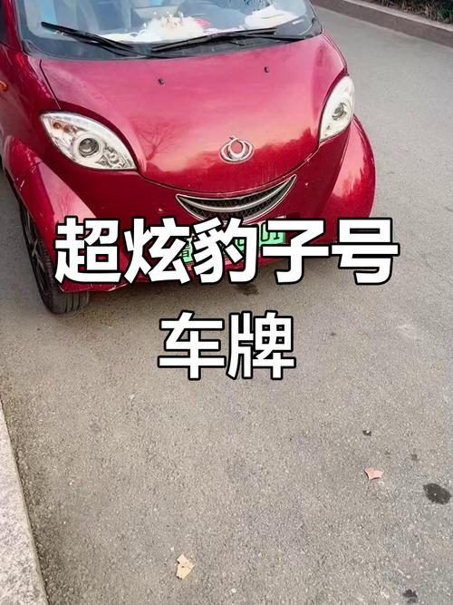 湘西豹子车牌号多少钱一个，豹子车牌号多少钱能买-第1张图片-七号汽车选号