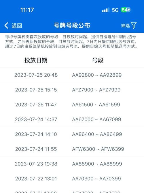 岳阳买个好的车牌号多少钱，选车号怎样能选到好号-第1张图片-七号汽车选号