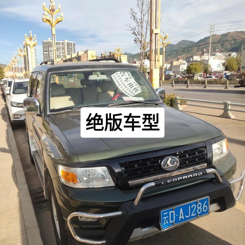 贵阳豹子车牌号多少钱一个,豹子车牌号多少钱能买-第1张图片-七号汽车选号 贵阳豹子车牌号多少钱一个,豹子车牌号多少钱能买-第1张图片-七号汽车选号