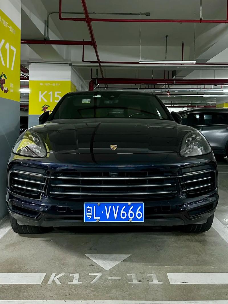 丽江豹子车牌号多少钱一个,豹子车牌号多少钱能买-第1张图片-七号汽车选号 丽江豹子车牌号多少钱一个,豹子车牌号多少钱能买-第1张图片-七号汽车选号