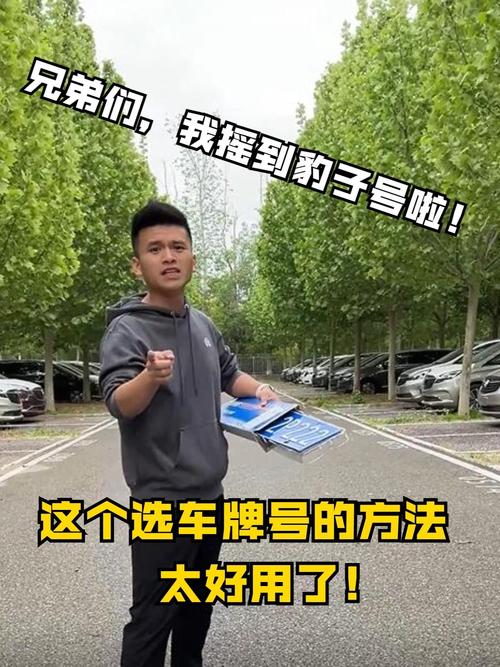 汕尾选车牌可以找黄牛吗,车牌靓号找黄牛有用吗-第1张图片-七号汽车选号 汕尾选车牌可以找黄牛吗,车牌靓号找黄牛有用吗-第1张图片-七号汽车选号