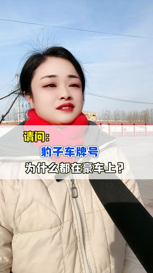 鞍山豹子车牌号多少钱一个,豹子车牌号多少钱能买-第1张图片-七号汽车选号 鞍山豹子车牌号多少钱一个,豹子车牌号多少钱能买-第1张图片-七号汽车选号