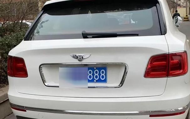 南阳车牌豹子购买渠道,顺号车牌号多少钱一个-第2张图片-七号汽车选号 南阳车牌豹子购买渠道,顺号车牌号多少钱一个-第2张图片-七号汽车选号
